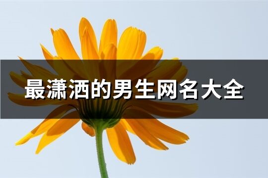 最瀟灑的男生網名大全(優選93個)