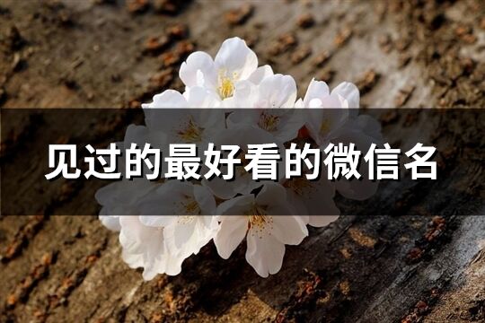 見過的最好看的微信名(1162個)