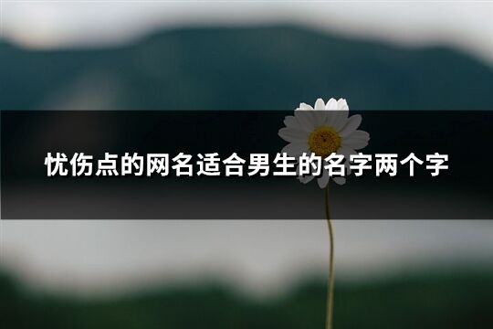 憂傷點(diǎn)的網(wǎng)名適合男生的名字兩個(gè)字(優(yōu)選1335個(gè))