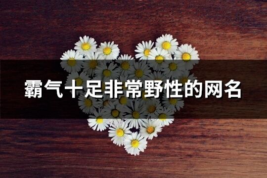霸氣十足非常野性的網名(優選226個)