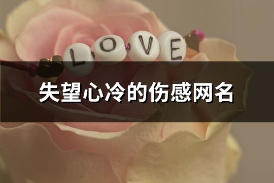 失望心冷的傷感網名(優選308個)