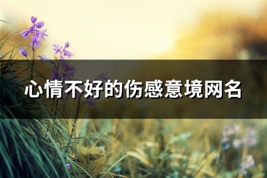 心情不好的傷感意境網名(共235個)