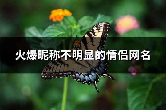 火爆昵稱不明顯的情侶網名(共66個)