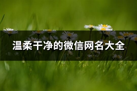 溫柔干凈的微信網名大全(精選838個)
