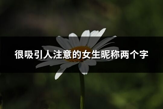 很吸引人注意的女生昵稱兩個字(546個)