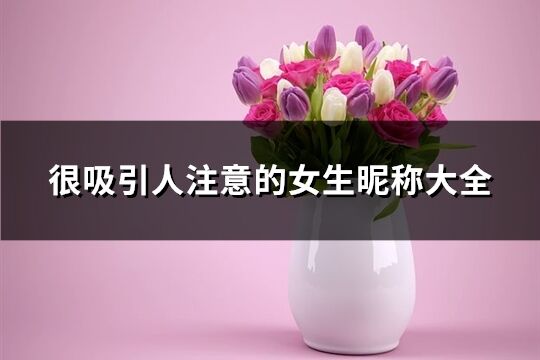 很吸引人注意的女生昵稱大全(精選551個(gè))