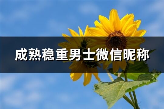 成熟穩重男士微信昵稱(精選2417個)