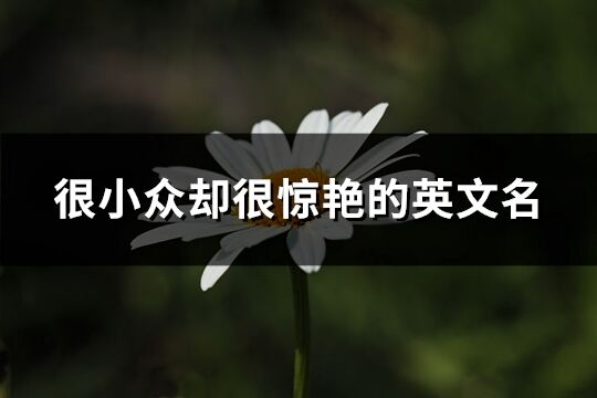 很小眾卻很驚艷的英文名(共133個)