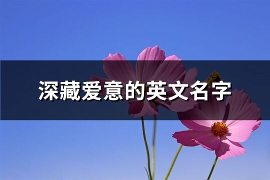 深藏愛(ài)意的英文名字(精選150個(gè))