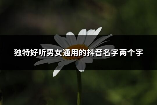 獨特好聽男女通用的抖音名字兩個字(共614個)
