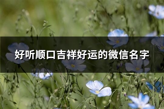 好聽順口吉祥好運的微信名字(共1022個)