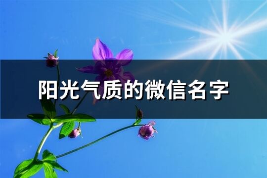 陽光氣質的微信名字(優選1064個)