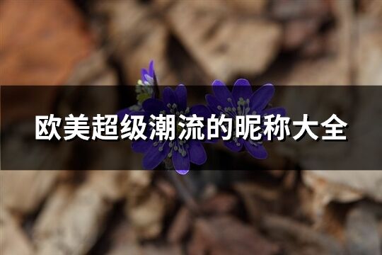歐美超級潮流的昵稱大全(精選128個)
