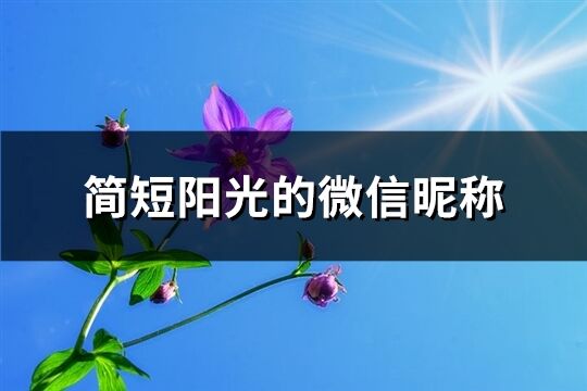簡短陽光的微信昵稱(精選653個)