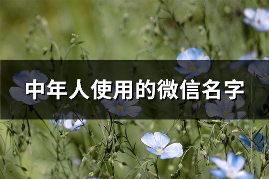 中年人使用的微信名字(523個)