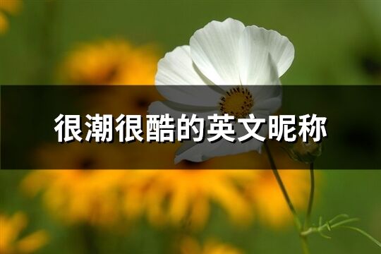 很潮很酷的英文昵稱(優選136個)