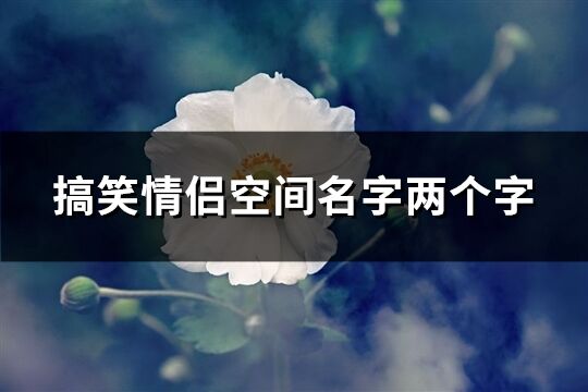 搞笑情侶空間名字兩個字(精選386個)