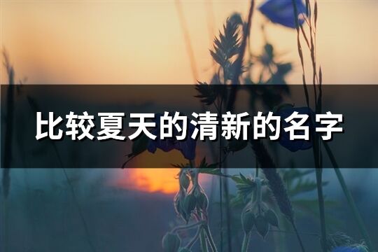 比較夏天的清新的名字(161個)