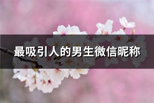 最吸引人的男生微信昵稱(精選308個)