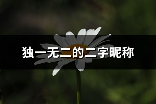 獨一無二的二字昵稱(806個)