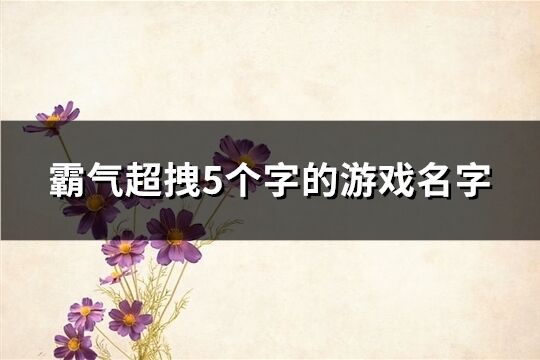 霸氣超拽5個字的游戲名字(319個)
