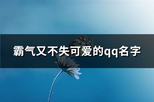 霸氣又不失可愛的qq名字(100個)