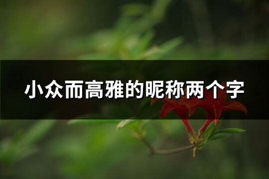 小眾而高雅的昵稱兩個字(共476個)