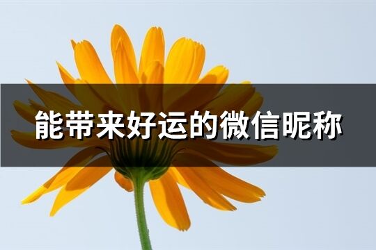 能帶來好運的微信昵稱(優選2875個)