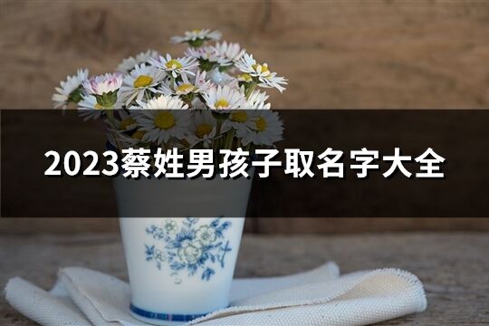2023蔡姓男孩子取名字大全(優選73個)