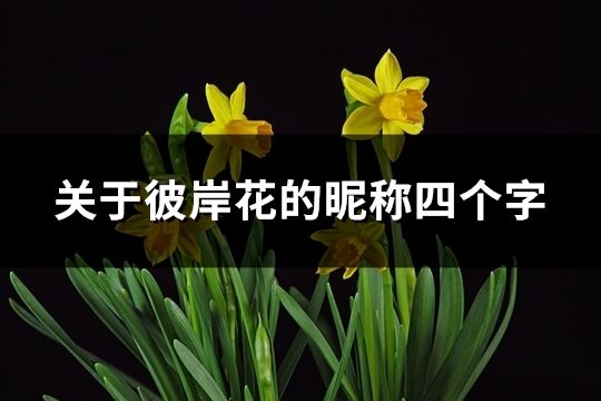 關于彼岸花的昵稱四個字(共105個)