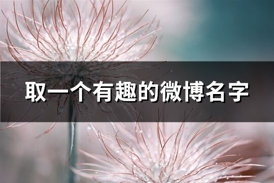 取一個(gè)有趣的微博名字(精選121個(gè))