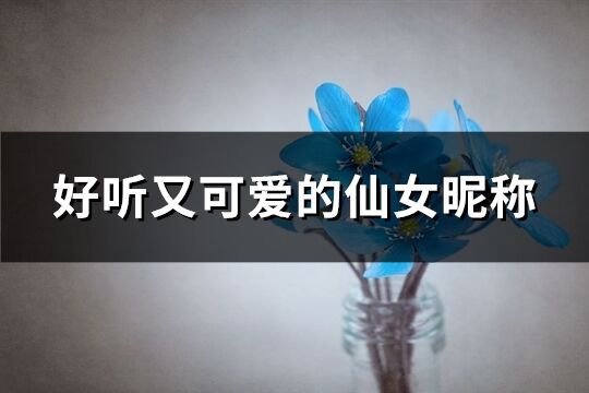 好聽又可愛的仙女昵稱(精選140個)