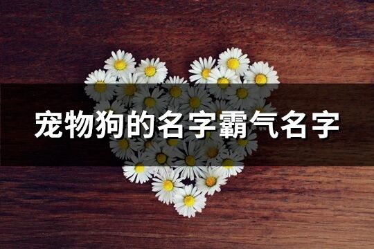 寵物狗的名字霸氣名字(精選61個)