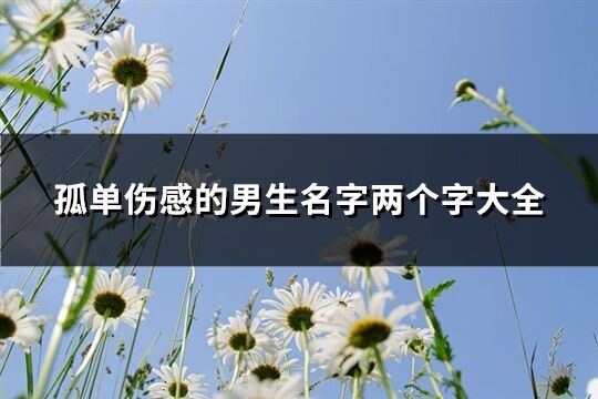 孤單傷感的男生名字兩個字大全(共1083個)