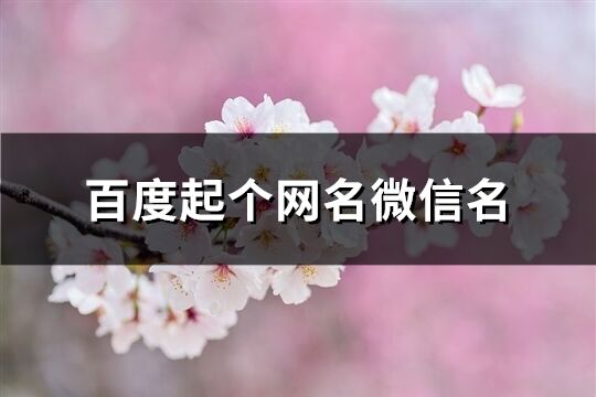 百度起個網名微信名(569個)