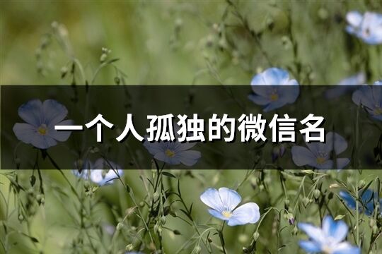 一個人孤獨的微信名(優選68個)