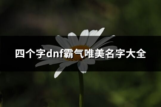 四個字dnf霸氣唯美名字大全(757個)