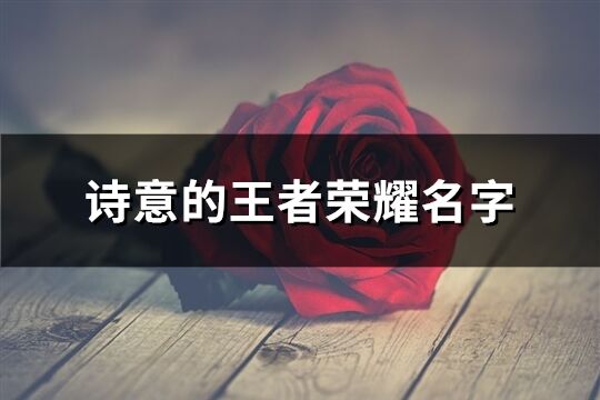 詩意的王者榮耀名字(精選326個)