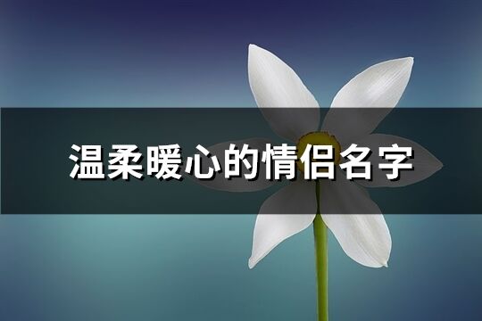 溫柔暖心的情侶名字(精選100個)