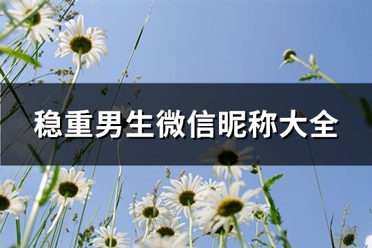 穩(wěn)重男生微信昵稱(chēng)大全(1135個(gè))