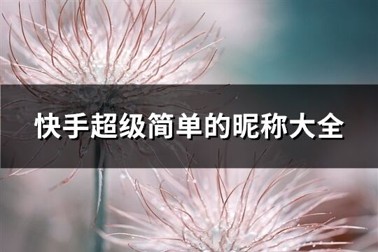 快手超級簡單的昵稱大全(445個)