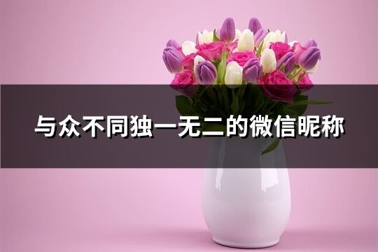 與眾不同獨一無二的微信昵稱(185個)