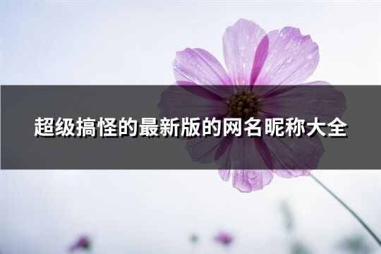 超級搞怪的最新版的網名昵稱大全(共358個)