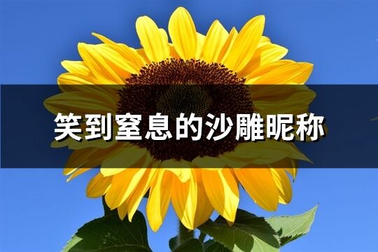 笑到窒息的沙雕昵稱(精選319個(gè))