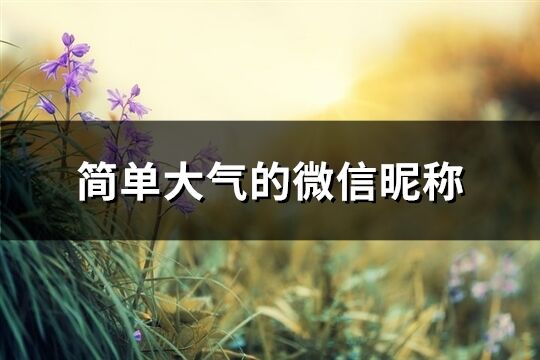簡單大氣的微信昵稱(共628個(gè))