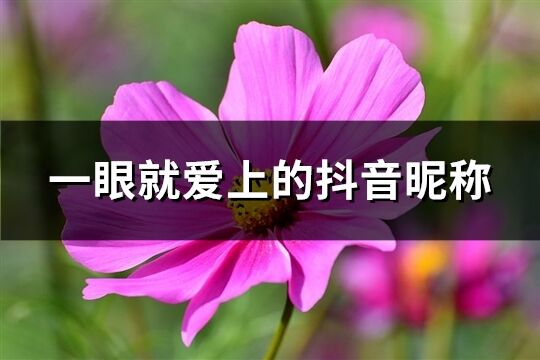 一眼就愛(ài)上的抖音昵稱(chēng)(共93個(gè))