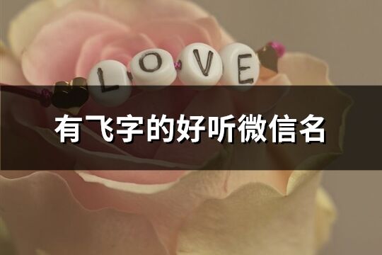 有飛字的好聽微信名(39個)