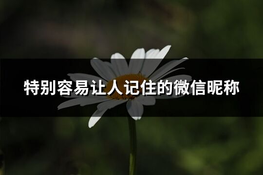 特別容易讓人記住的微信昵稱(優選227個)