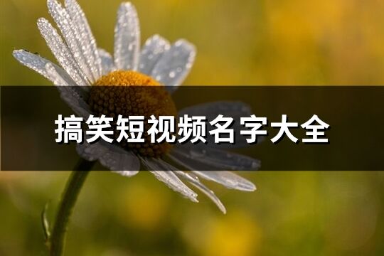 搞笑短視頻名字大全(共44個)
