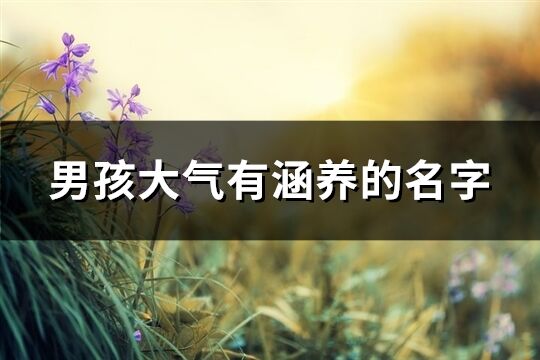 男孩大氣有涵養的名字(優選232個)